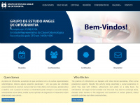 angle.com.br