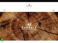 Ducaule.com.br