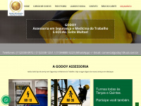 godoyassessoria.com.br